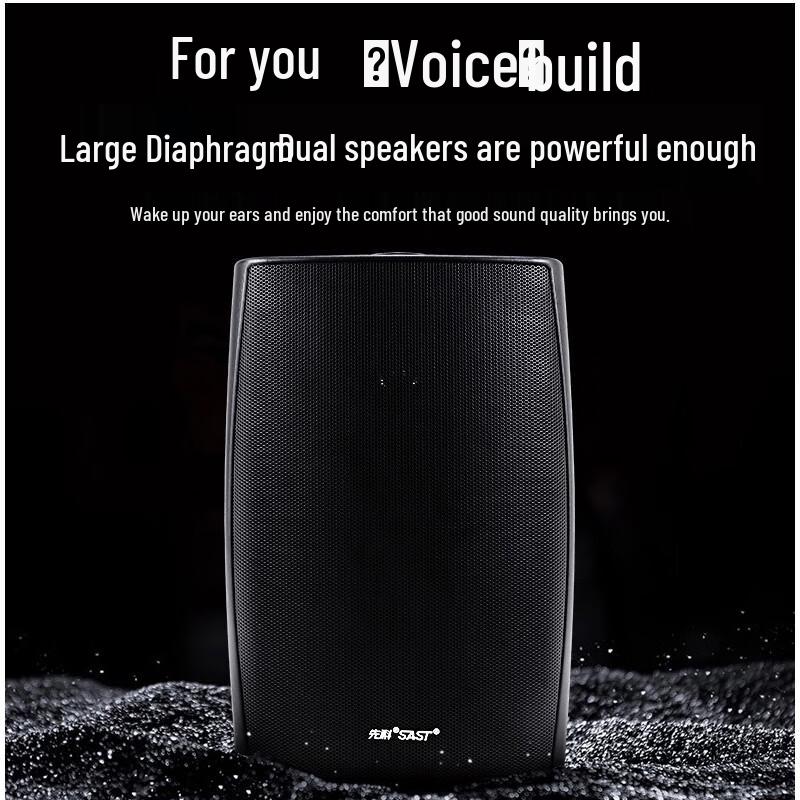 SAST Commercial Public Address System Speakers CN plug (adapter included)