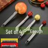 Stainless Steel Fruit Pitter & Apple Corer Tool