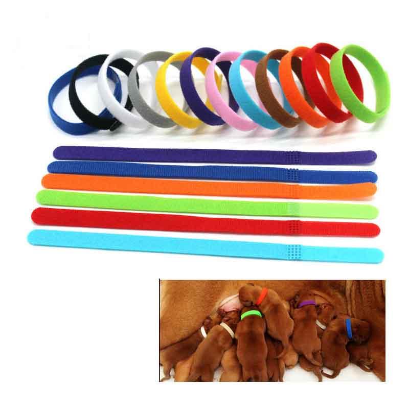 Id 12pcs Adjustable Collars Velcro Whelping Bands Puppy Kitten Newborn Tags Pet