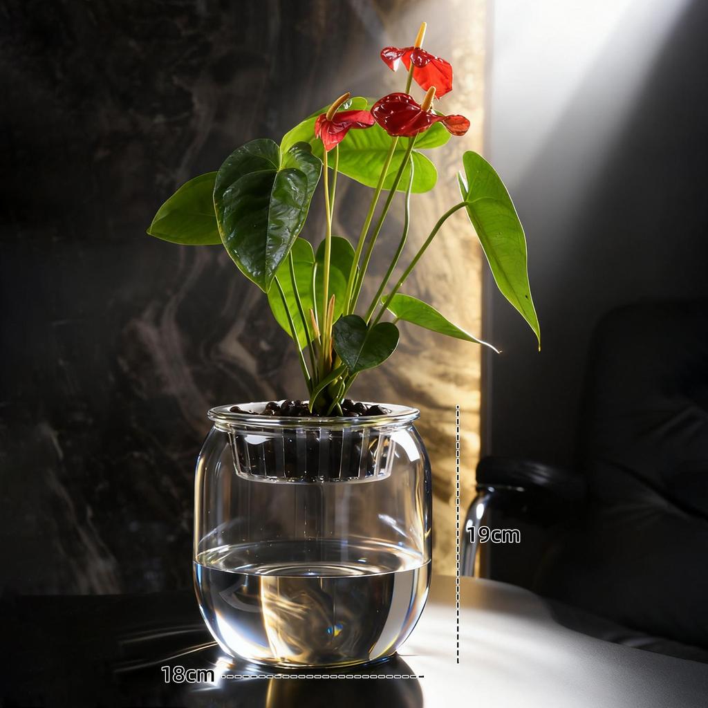 Small Hydroponic Vase for Phalaenopsis & Succulents - Desktop Decoration