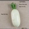 Fruit and Vegetable Model Props for Photography and Educational Use