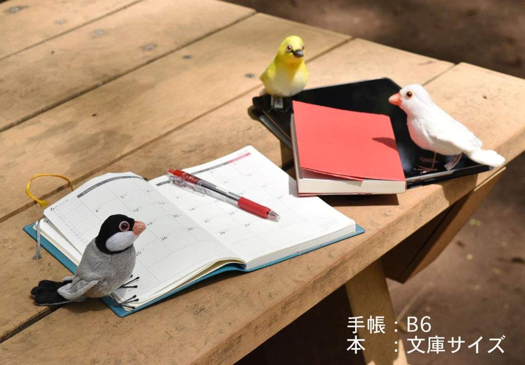 BH7248 HANSA Java Sparrow 13