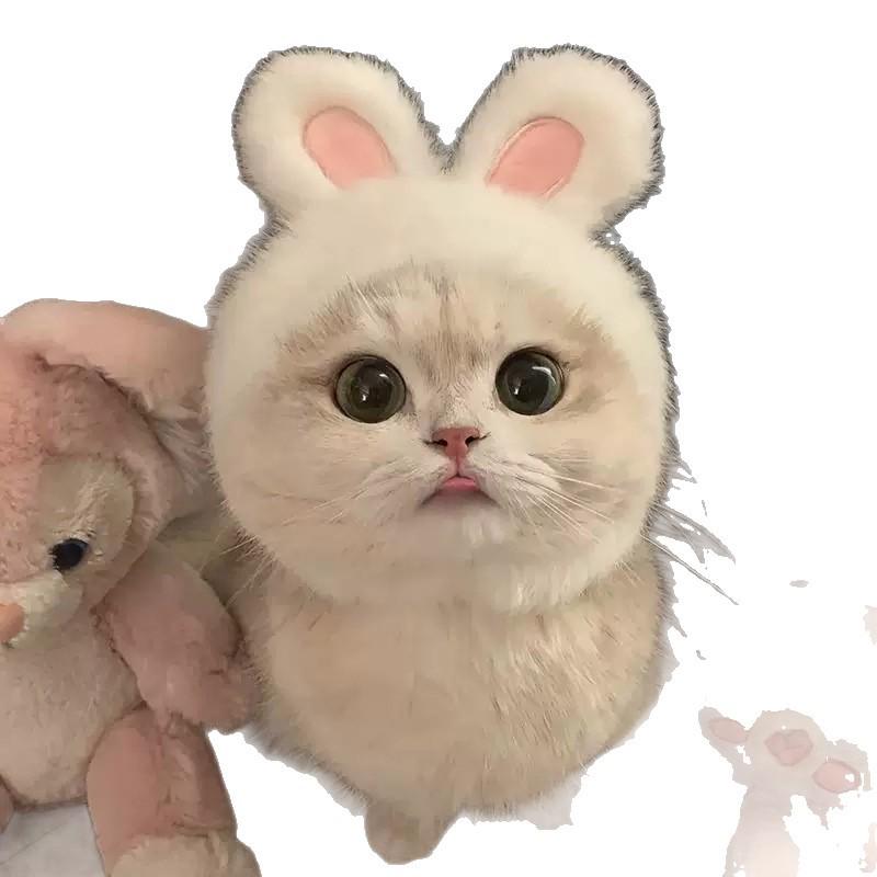 Funny Rabbit & Bear Pet Hat for Cats and Dogs - Cute Internet Celebrity Costume