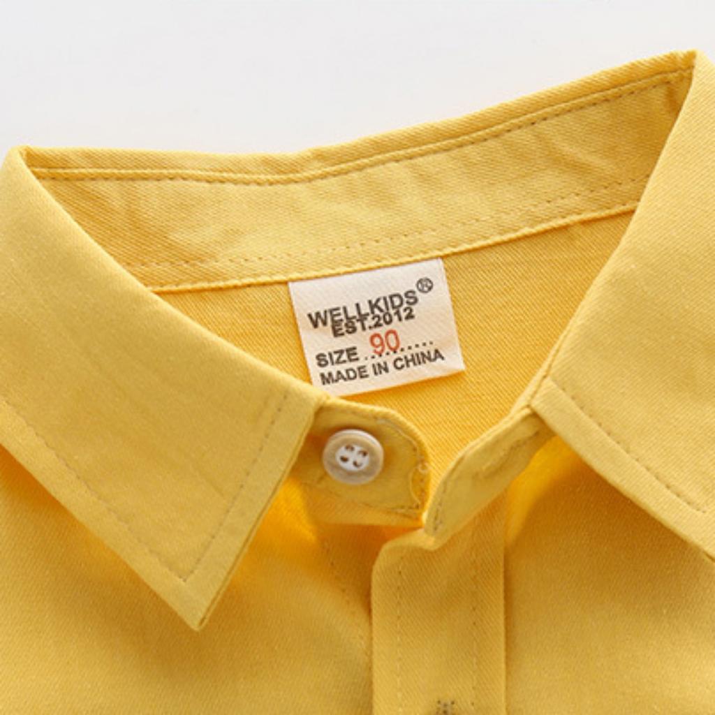 Women's Casual Button Down Shirt with Turn-Down Collar Lightweight Print for Work Layering