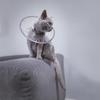 Comfortable, Lightweight Collar Soft, Recovery Collar For Cats After To Licking & Scratching, Protective E Collar For Small, Medium, And Large Cats