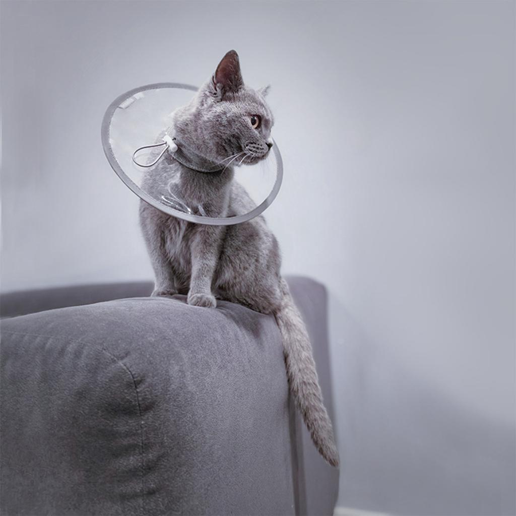 Comfortable, Lightweight Collar Soft, Recovery Collar For Cats After To Licking & Scratching, Protective E Collar For Small, Medium, And Large Cats
