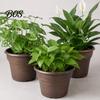 Planters for Flowers Retro Flower Pot with Saucer, Bronze Finish Plant Drainage Holes, Garden Containers Holes Breathable Thickened Plastic