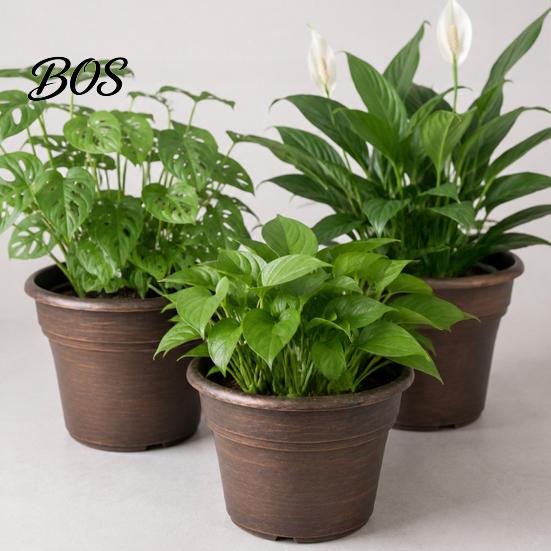 Planters for Flowers Retro Flower Pot with Saucer, Bronze Finish Plant Drainage Holes, Garden Containers Holes Breathable Thickened Plastic