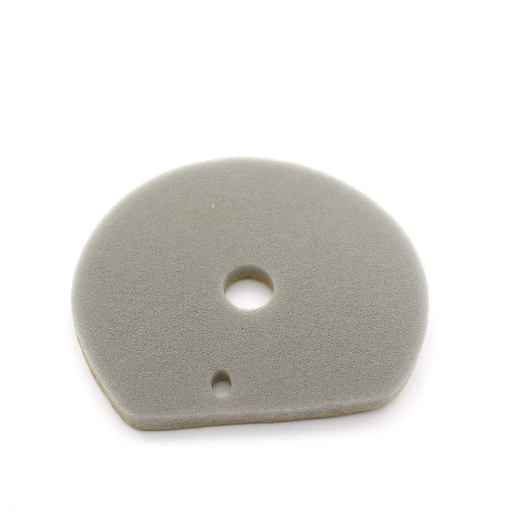 Plouluyt Scooter Air Filter Intake Sponge for Majesty 125Cc 5CA-E5407-00