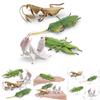 Lifelike Insect Model Set With Four Unique Designs Including Orchid Mantis Leaf Insect And More