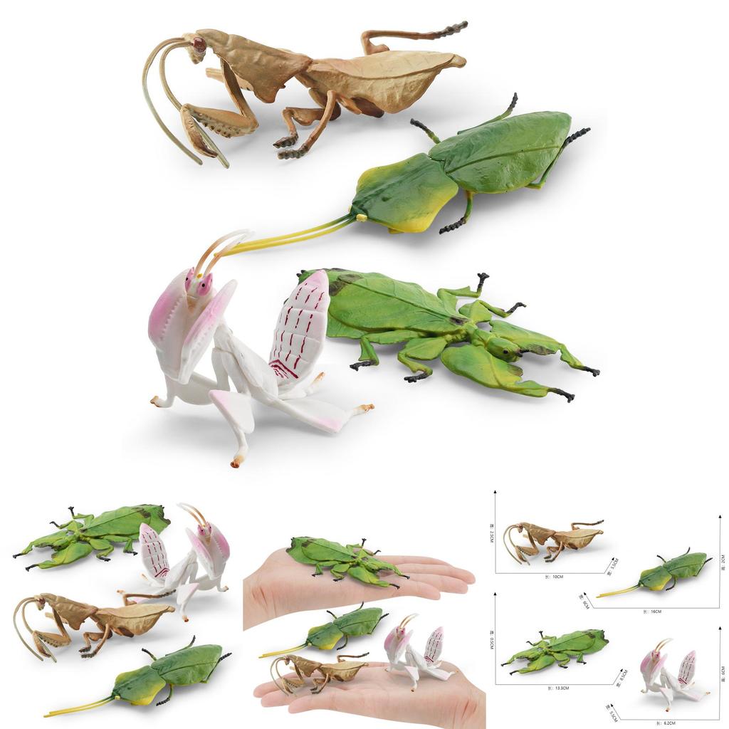 Lifelike Insect Model Set With Four Unique Designs Including Orchid Mantis Leaf Insect And More