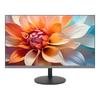 Lecoo Lenovo 23.8-inch Full HD IPS 100Hz Monitor