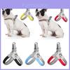 Breathable And Reflective Dog Harness With Saddle Shape