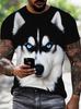 Regular Unisexs Husky Pattern 3D Digital Printed Tshirt Summer Fashionable Casual Short Sleeved Tshirt Top Suitable For Daily Wear In Summer