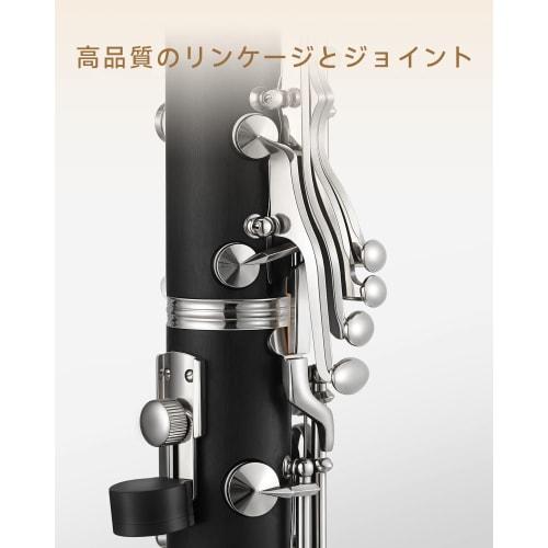 Eastar ECL-300 Black Boehm Clarinet, Nickel-Plated, Key of B, ABS Resin Body, with Care Instructions, Beginner's Specifications, Perfect for School Op