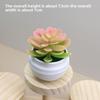 Plant Plastic Succulent Lotus Artificial Potted For Indoor Decoration And Gifts