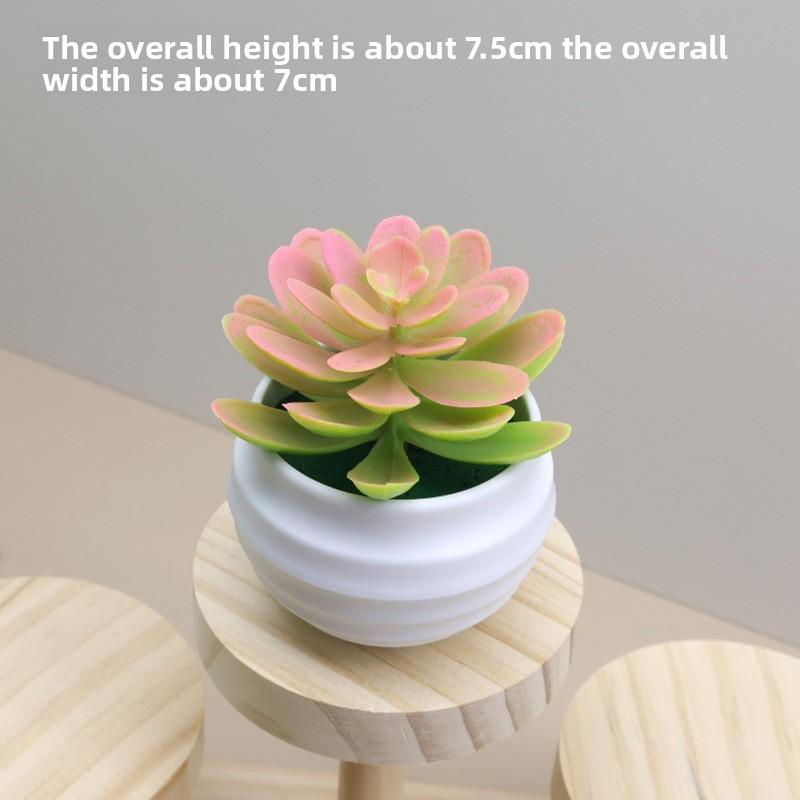 Plant Plastic Succulent Lotus Artificial Potted For Indoor Decoration And Gifts
