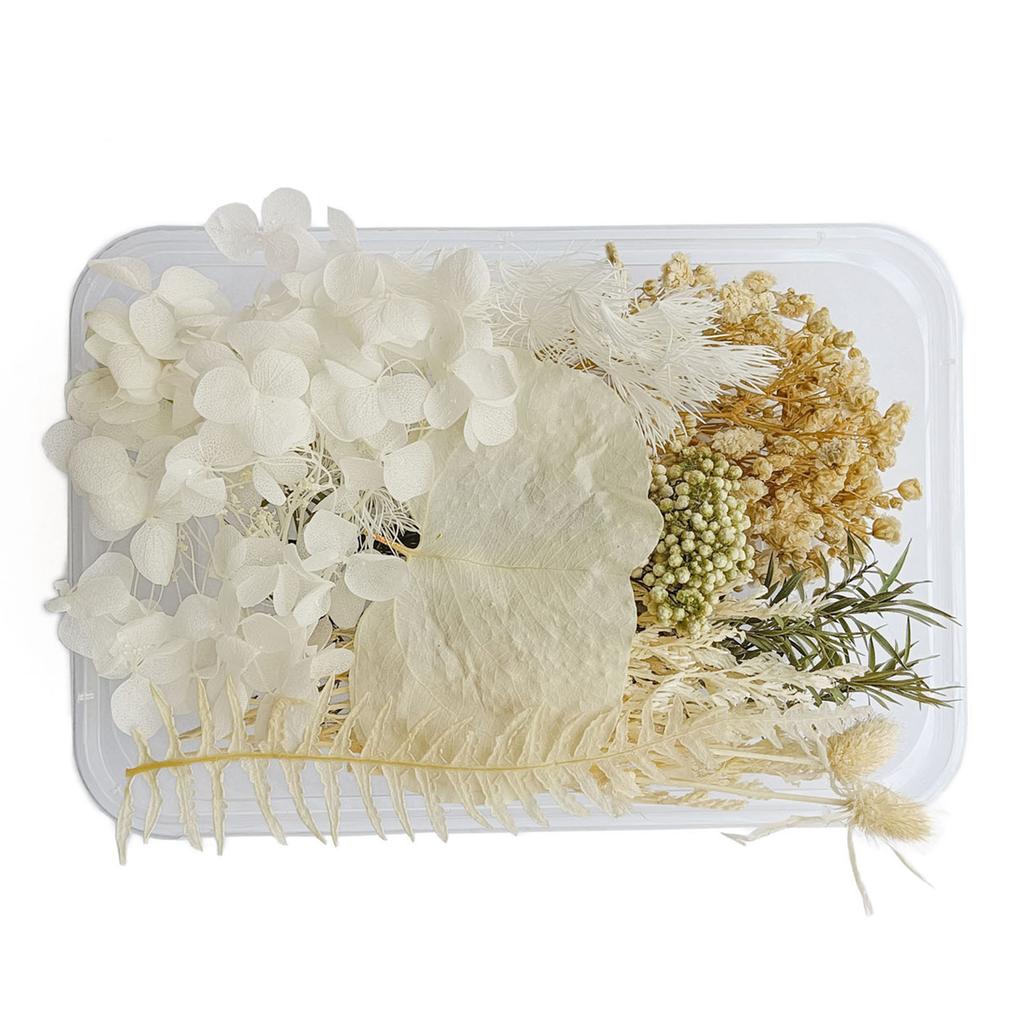 Getrocknete Blumen, exquisite, schöne, umweltfreundliche, farbige Trockenblumen für die Heimdekoration