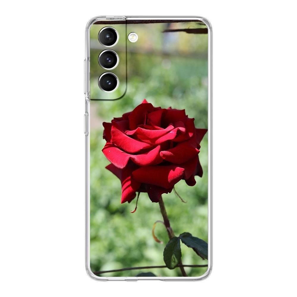 

Rose Flowers Botanic Phone Case For Samsung Galaxy S22 5G S20 Ultra S21 FE 5G S10E S9 S8 S10 Plus Note 20 10 Clear Back Cover Samsung S8