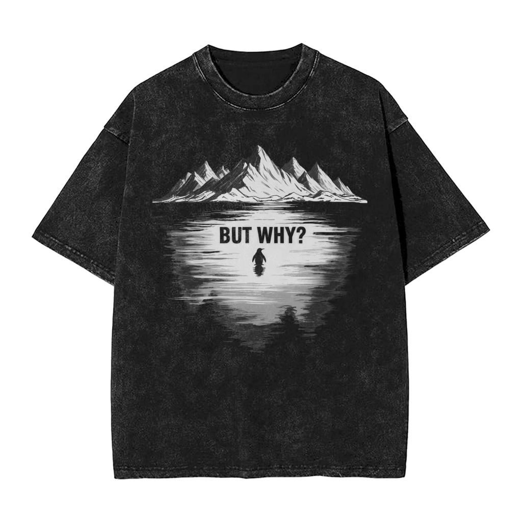 Streetwear Washed Tshirt Lone Penguin Survival But Why Funny Dark Meme Cotton Tshirts Hipster Tshirt Men Beach Y2k Basic Tees