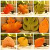 Variety Maple Leaves Plush Pillow Ginkgo Leaf Ginkgo Leaf Stuffed Toy  Home Sofa Decor