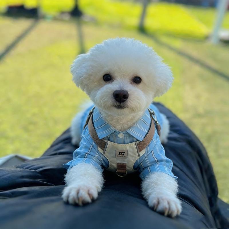 Pet Lightweight Harness Vest Harness for Small Medium Dogs Anti-Pull Puppy Walking Chest and Back For Dogs Outdoor Walking