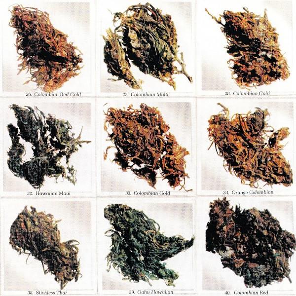 

CD DIEZZLE DON & THA GOVENER - 1995 (Year Of The Independent) CRC111 Contract Record 1995 US Rap & Hip-Hop/R&B Used