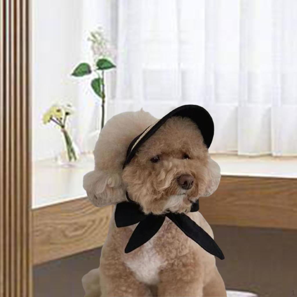 Fashionable Pet Sun Visor for Outdoor Adventures
