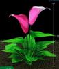 Aquarium Decorations Featuring Simulated Plastic Artificial Aquatic Plants
