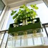 Ventilated Lettuce Planting Pot Plastic Vegetable Growing Plate  Repeated Growth
