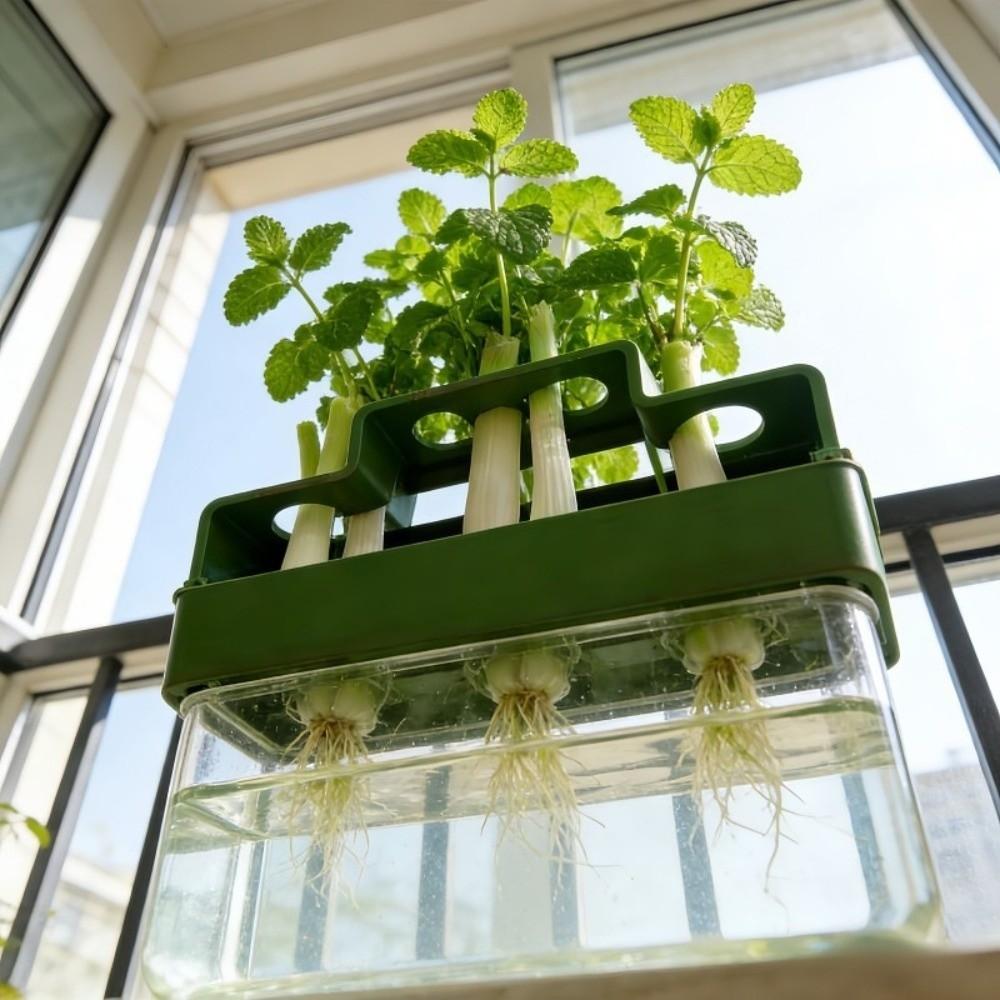 Ventilated Lettuce Planting Pot Plastic Vegetable Growing Plate  Repeated Growth