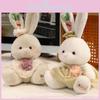 Cute Plaid Dress Cartoon Rabbit Plush Toy For Children