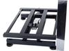 Platform Scale 40X50 300 (1)