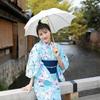 Yukata Weiße Lilie auf Hellblau 3-teilig Tokimeki Koi Yukata Hellblau [Brilliant Piece] Damen-Set, Hintergrund, Set,