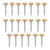 20Pcs Copper Furniture Nails Decorative Upholstery Pins Half Round Head Sharp Entry Striped Shank Anti-Loosening for Wood Craft