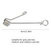  s Bird Leg Buckle Stainless Steel Opening   Outdoor Activity Anklet  (Medium )