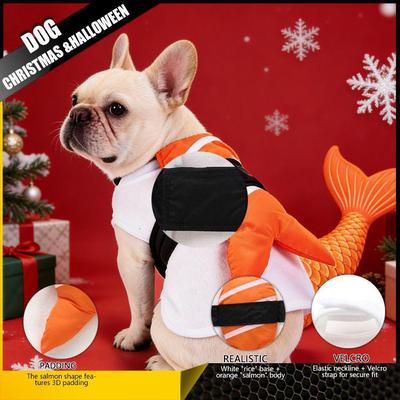 Halloween Huisdierkostuum: Grappige Schildpad, Vleermuis Rijdende Outfit voor Kleine Honden en Katten
