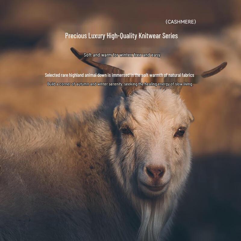 Hengyuanxiang Women's Pure Cashmere V-Neck Vest