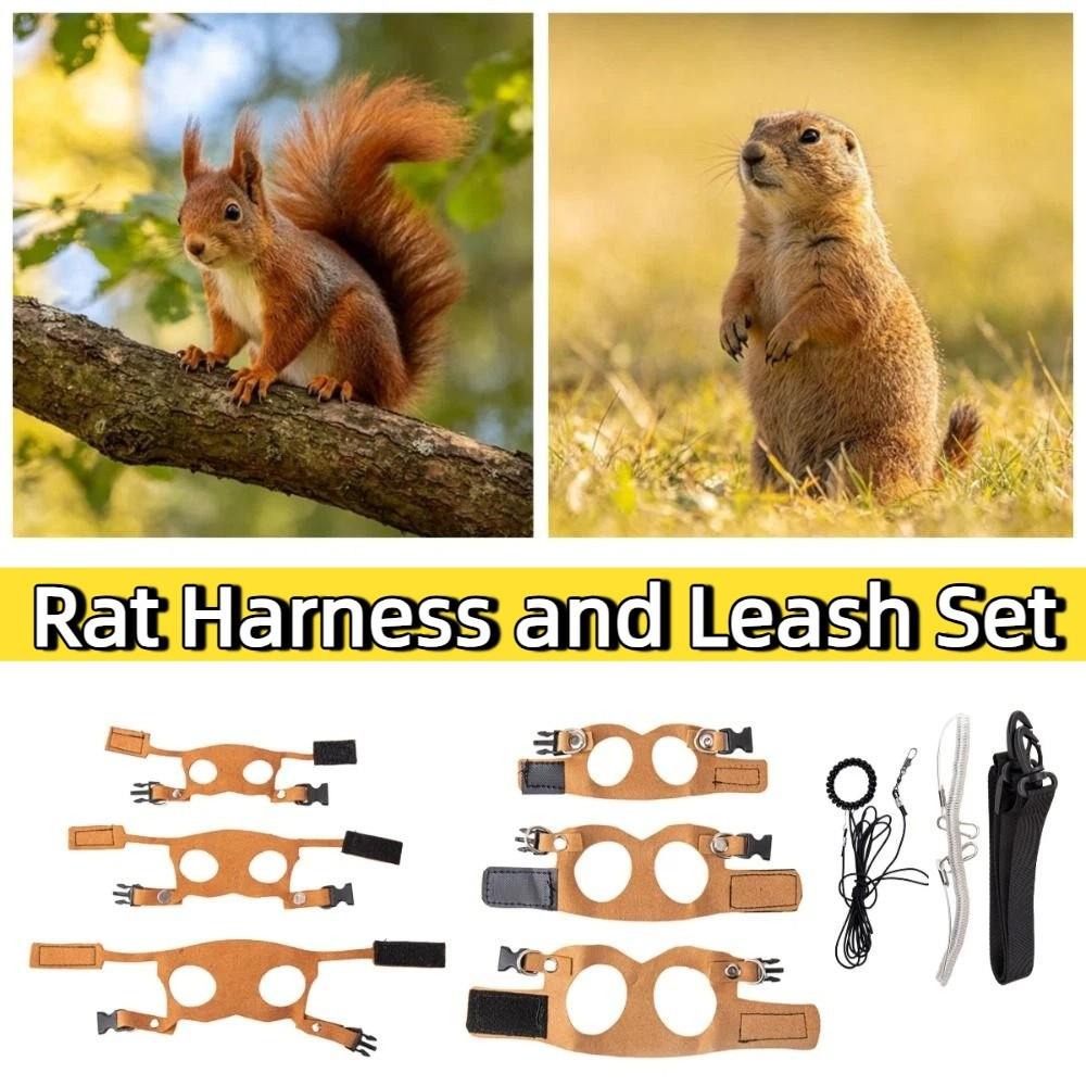 Adjustable Rat Harness and Leash Set Leather 3 Sizes Vests Reptile Harness Kit Anti-Bite Chest Strap Comfortable