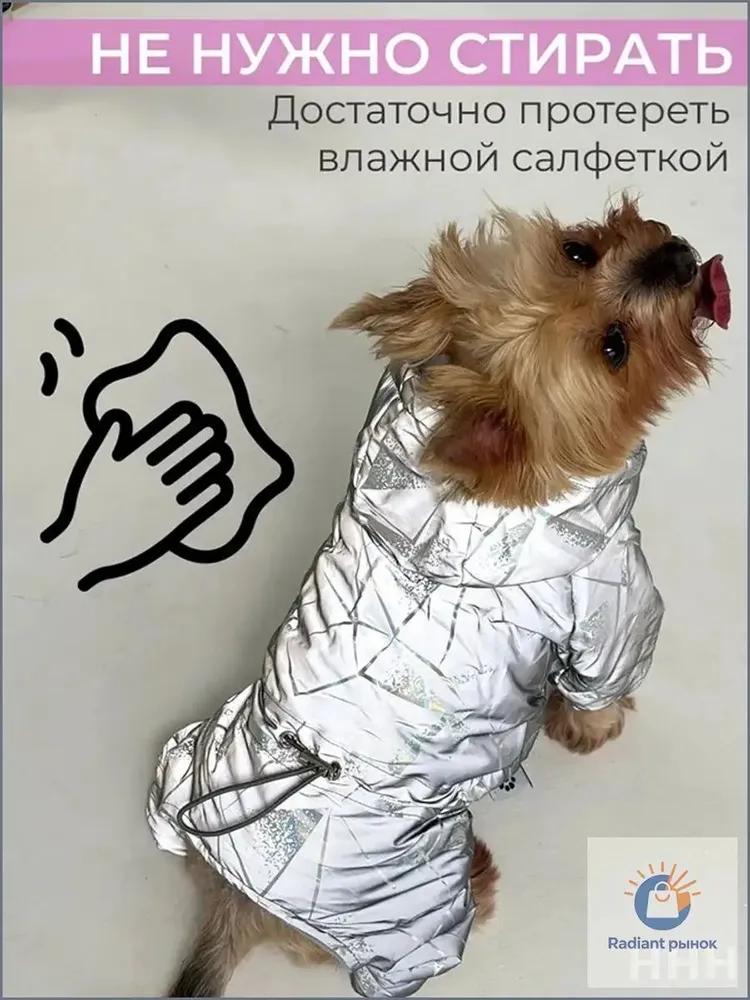 Reflective jumpsuit for pets and small dogs, exclusive, for night walks -Quality guarantee