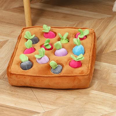 Chiens – Jouets pour chiens