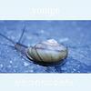 CD YONIGE - I want to be a Katatsumuri SIT1002 Small Indies Ta 2016 Japan Japanese Pop/Rock Used