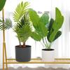 Nordic Style Self-Watering Faux Ceramic Plant Pot for Hydroponic Pothos