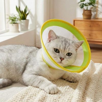 Breathable Cat Cone Collar Mesh Pet Protective Collar Pet Elizabethan Collars  Pet Accessories