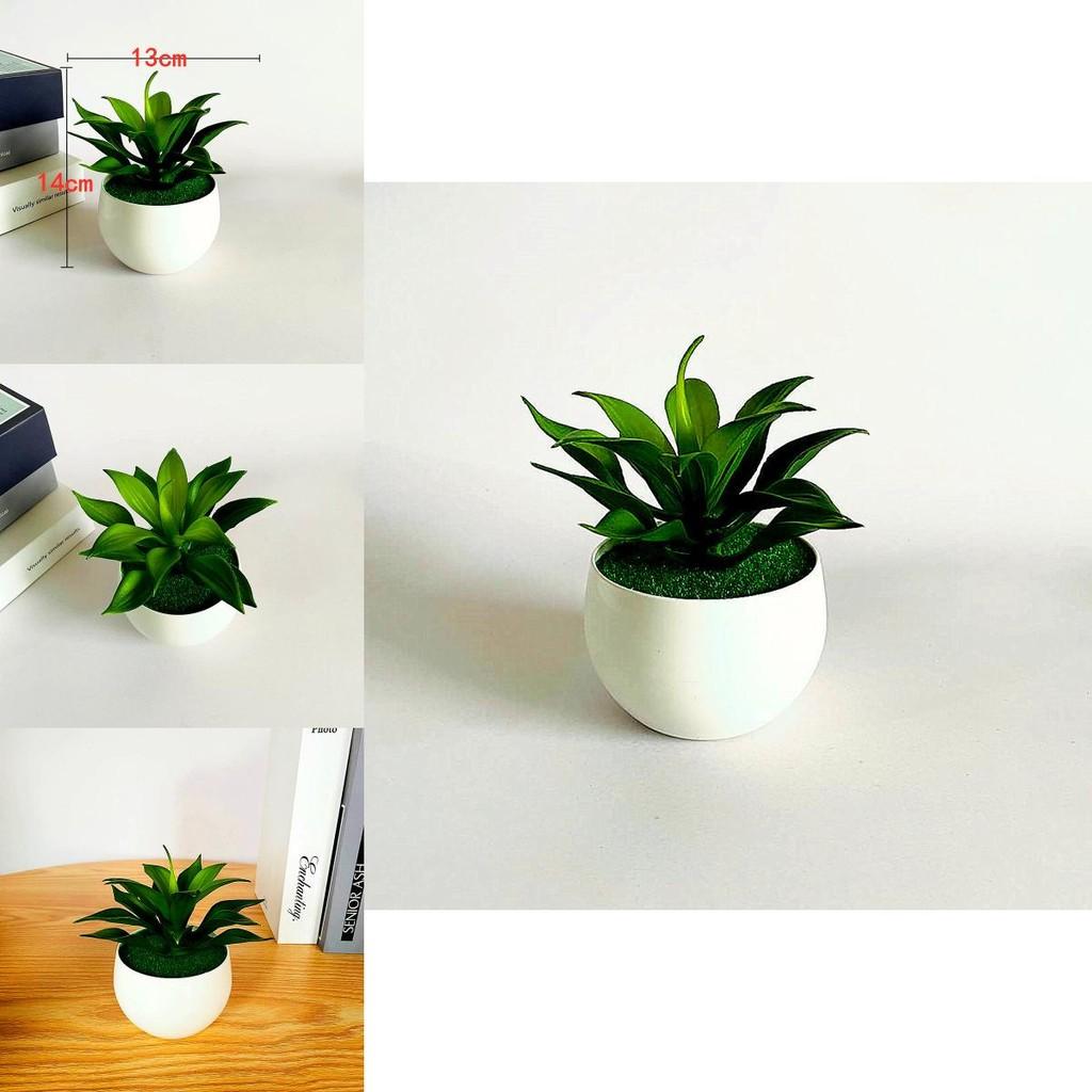 Fake Sinocrassula Indica Plant Pot With Pvc Material For Home Decor And Photography Props