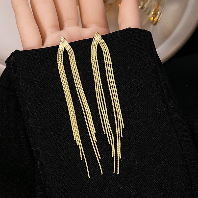 New Trendy S111 Silver Needle Long Fringed Earrings for Women, Design Sense, Temperament, High Sense, Personalized Earrings, Earrings.