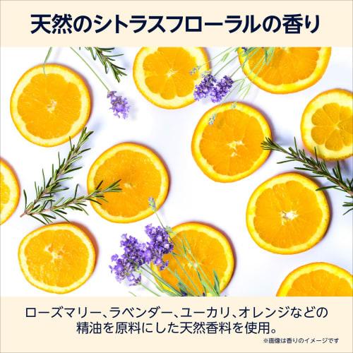 by Amazon Large Capacity Pack Naturon Soap Shampoo Refill 900ml (NATUXIA)