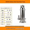 QDX304 Stainless Steel Submersible Water Pump, 220V/380V, High Head with Float Switch for Clean Water