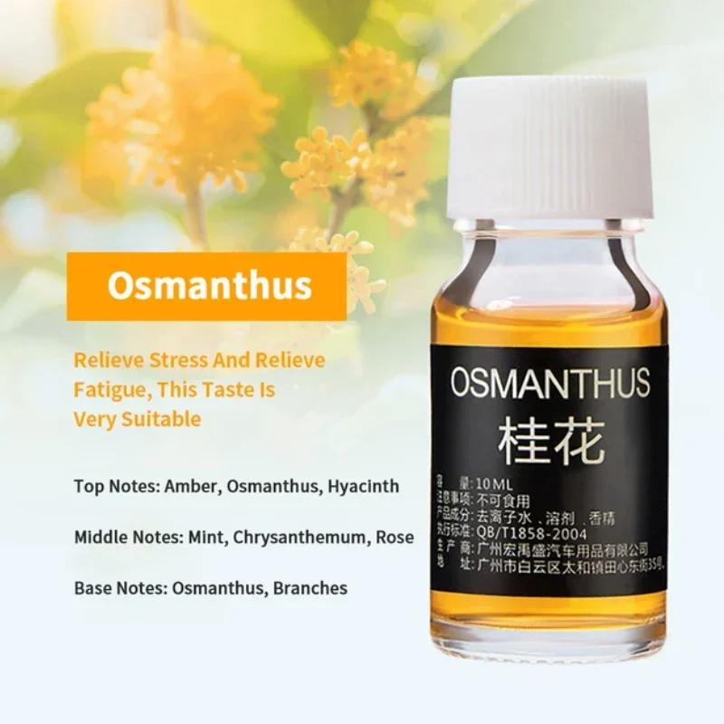 Water Soluble Aromatherapy Essential Oil Liquid for Humidifier Aroma Diffuser Auto Air Freshener Plant Fragrance Oils Perfume