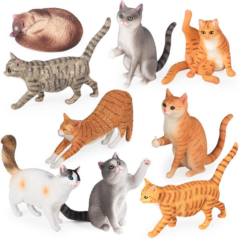 Solid Orange Persian, Ragdoll, Somali, and Blue Short-haired Cat Simulation Models